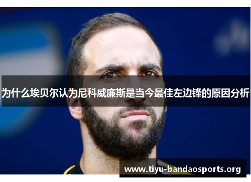 为什么埃贝尔认为尼科威廉斯是当今最佳左边锋的原因分析 为什么埃贝尔认为尼科威廉斯是当今最佳左边锋的原因分析