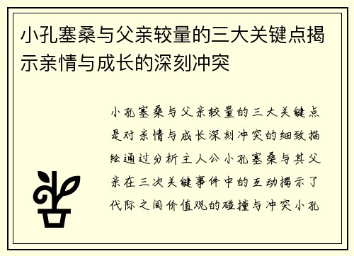小孔塞桑与父亲较量的三大关键点揭示亲情与成长的深刻冲突