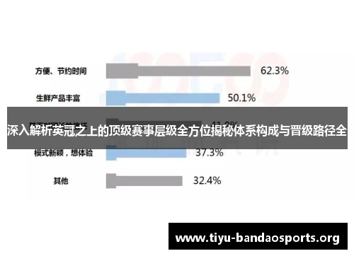 深入解析英冠之上的顶级赛事层级全方位揭秘体系构成与晋级路径全